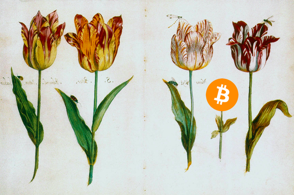 Биткоин — современная голландская тюльпанная лихорадка?